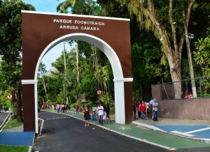 8_09_19_Animacentrobica_FotoGilbertoFirmino-1-300x218