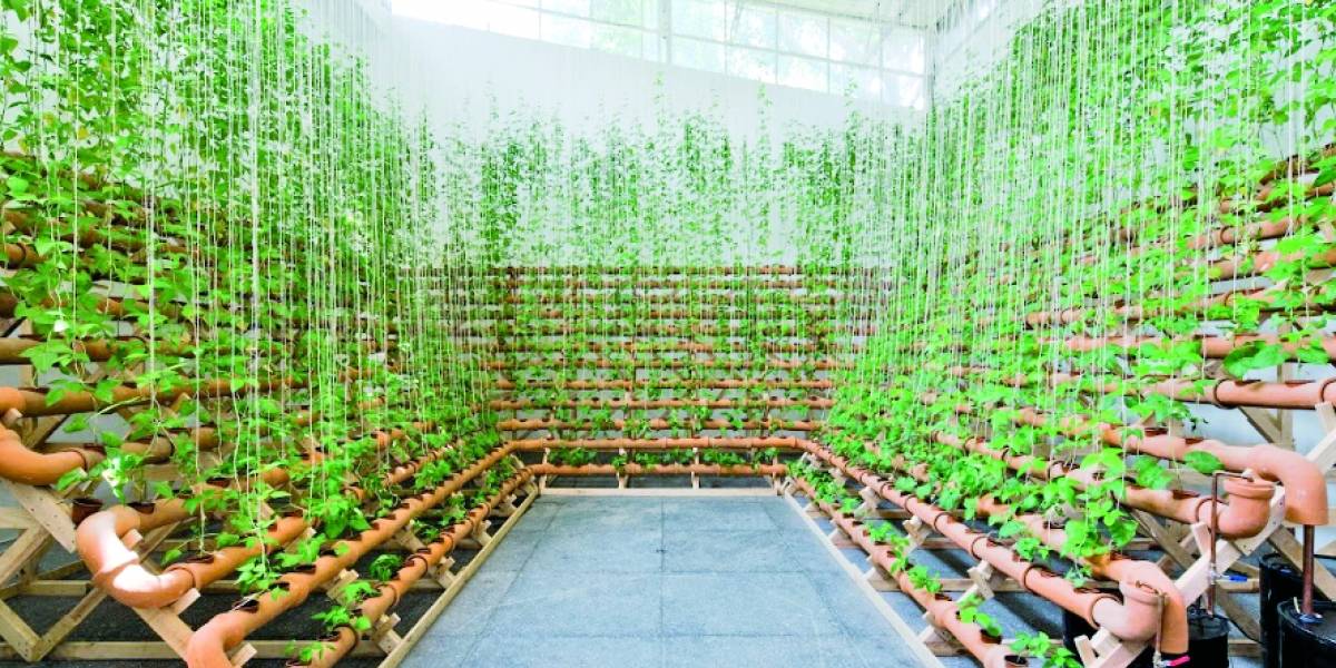 20200211sp08bien-5f78f207cbaaddc7e380909530672afc-1200x600