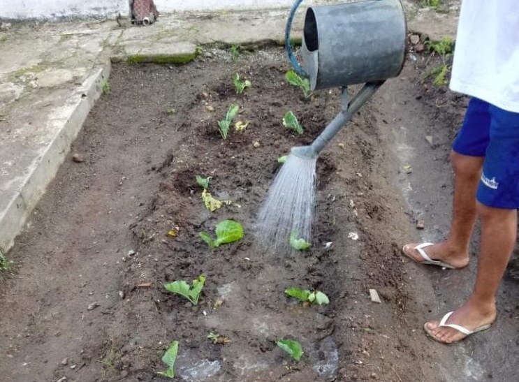 3e83fb95-0e80-41d8-b9ad-5237e1110f7c