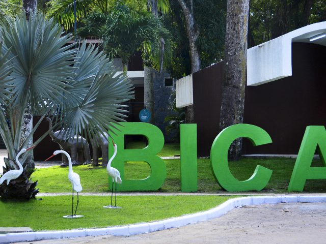 BICA_foto_kleide_teixeira_01-2-640x480