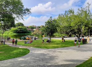 Parque-Arruda-Camara_Patricia-Cantisani-1-300x218
