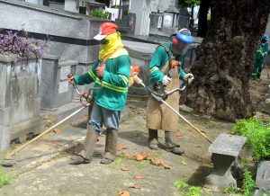 Roco-Cemiterios_Arquivo_Carlos-Nunes-300x218