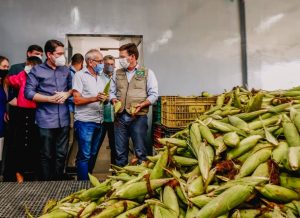 WhatsApp-Image-2021-06-23-at-16.45.37-1-300x218