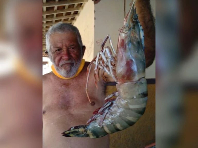 WhatsApp-Image-2021-06-25-at-21.18.07-768x576