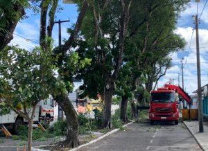 WhatsApp-Image-2021-06-27-at-10.26.091-300x218