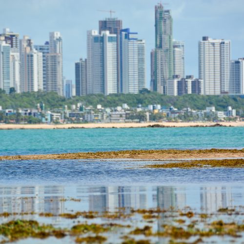 seixas_corais_foto_dayseeuzebio-317-500x500