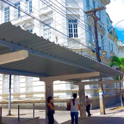 IMG_20220124_105231-500x500