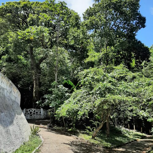 20211124_105349-500x500