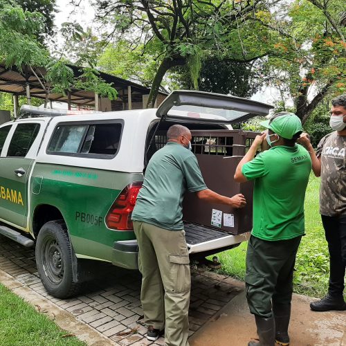 20220324_132509-500x500