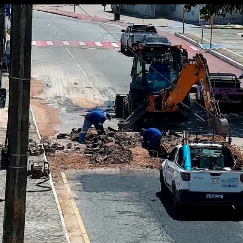 019a61fd-a322-4e9d-a696-15d92c74c9c2-500x500