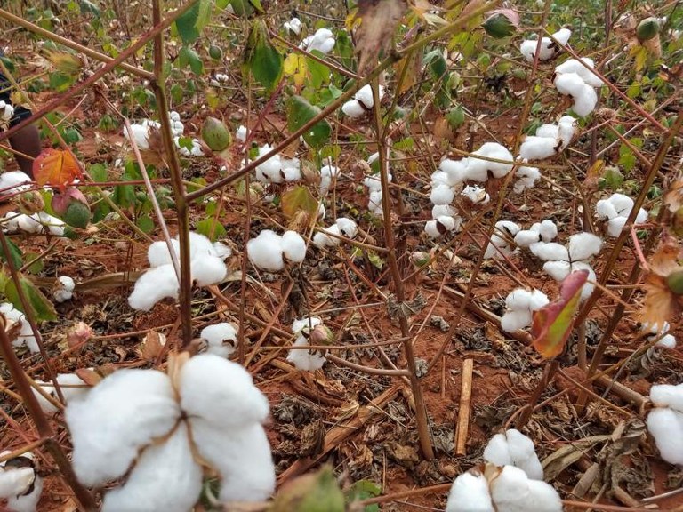 08ba1505-c9b1-4555-a6c7-bbee9a1ac571