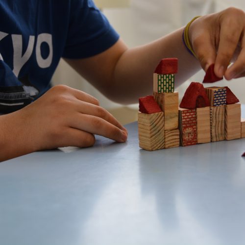 Copia-de-Escola_integral_foto_julianasantos-419-500x500