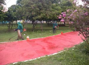 praca-da-paz-1-300x218