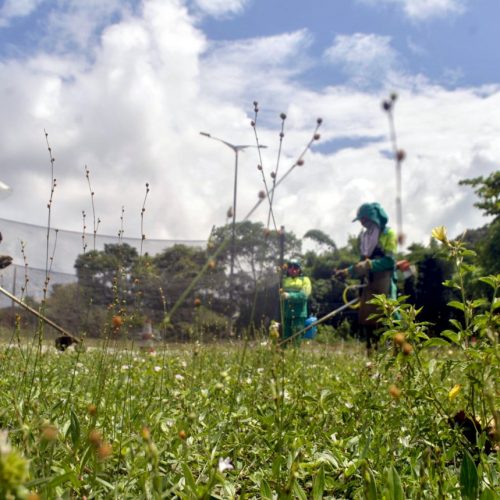 Zeladoria_-Fotos-Carlos-Nunes-3-500x500