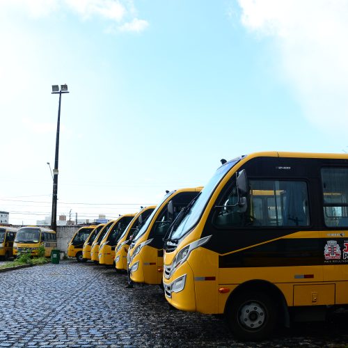 onibus-escolar_Dayse-Euzebio-500x500