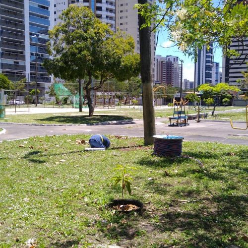 1663097264570-500x500