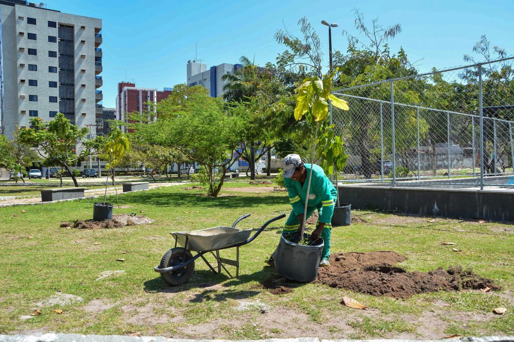 seman_plantacao_agustina_aran_3-1-1024x683