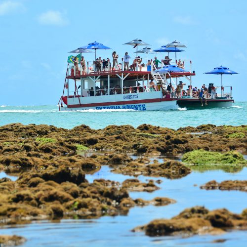 seixas_corais_foto_dayseeuzebio-277-500x500