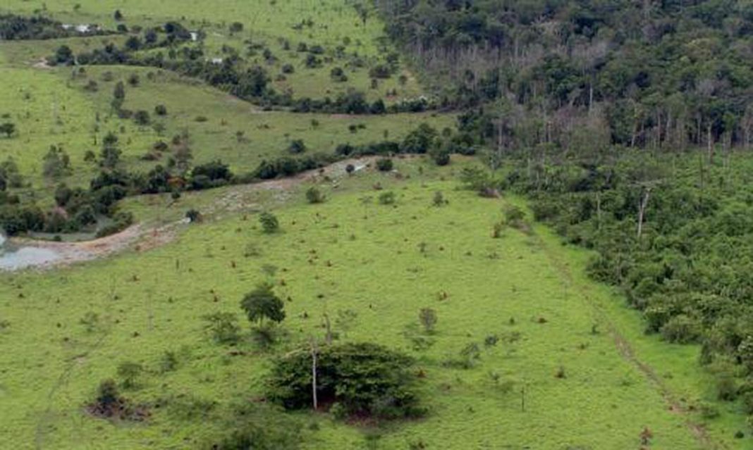 projeto_rural_na_amazonia_-_pnud