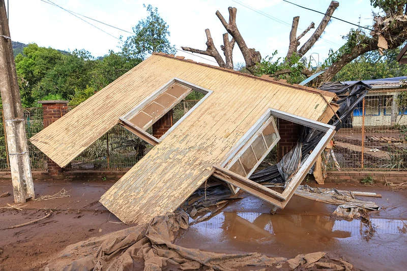 53171651951_58aedf226a_c