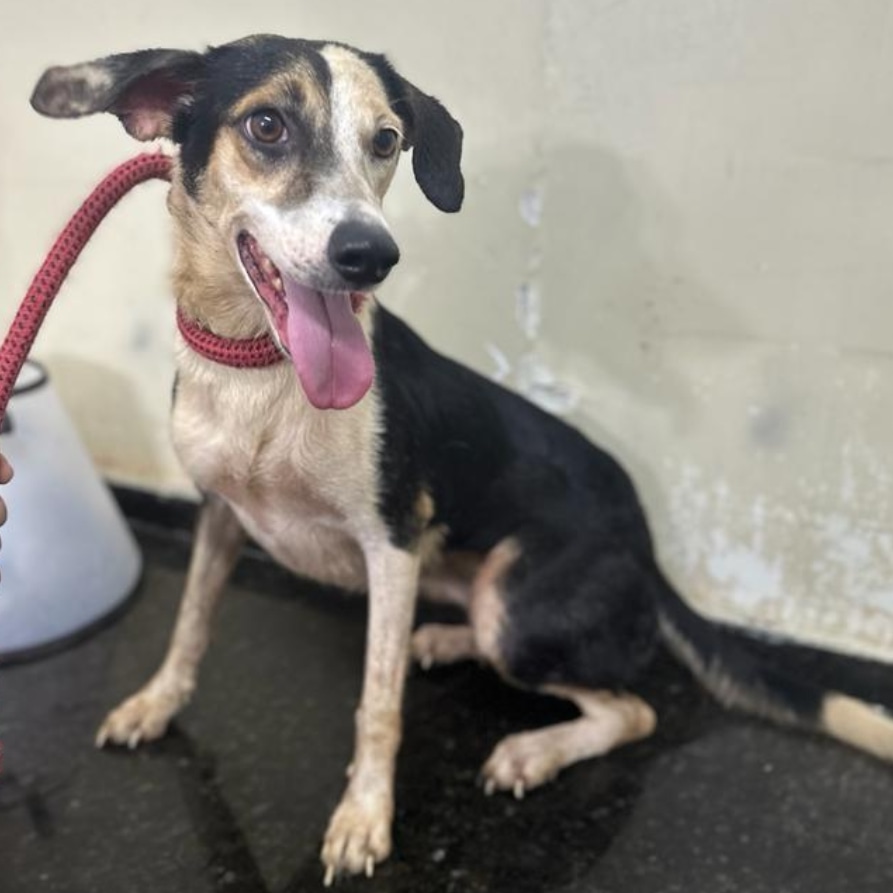 81435a99-8847-4e2d-b4fa-99e9f3d81096