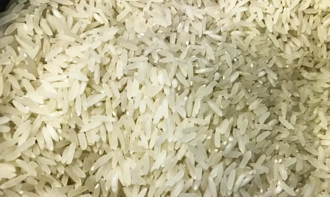 arroz_1009201525