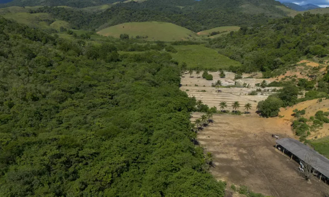 dji_0479_1-2
