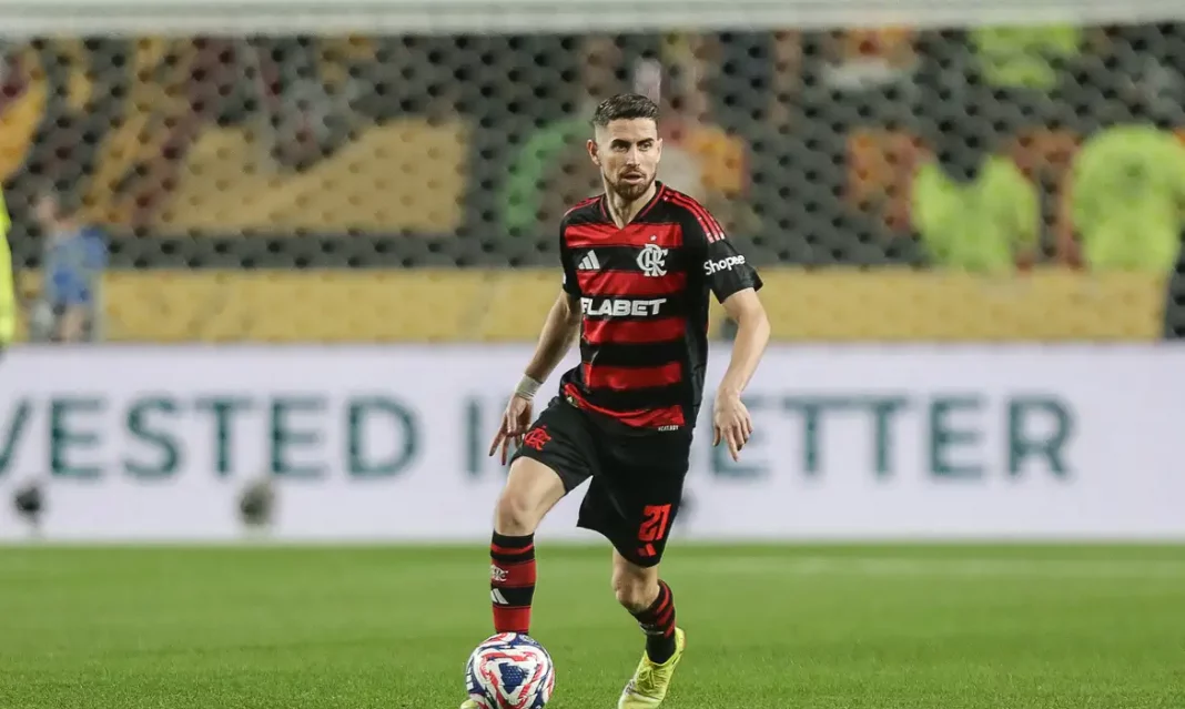 54596038431_26e749e8ae_o