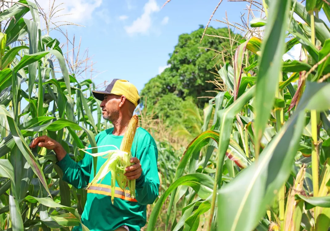 SEDEST_Eu_Posso_Semear_Foto_Quel_Valentim05-scaled