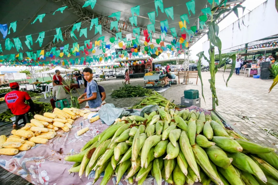 SEDURB_TFestival_do_Milho_Fotos_KLeide_Teixeira_37-1-scaled