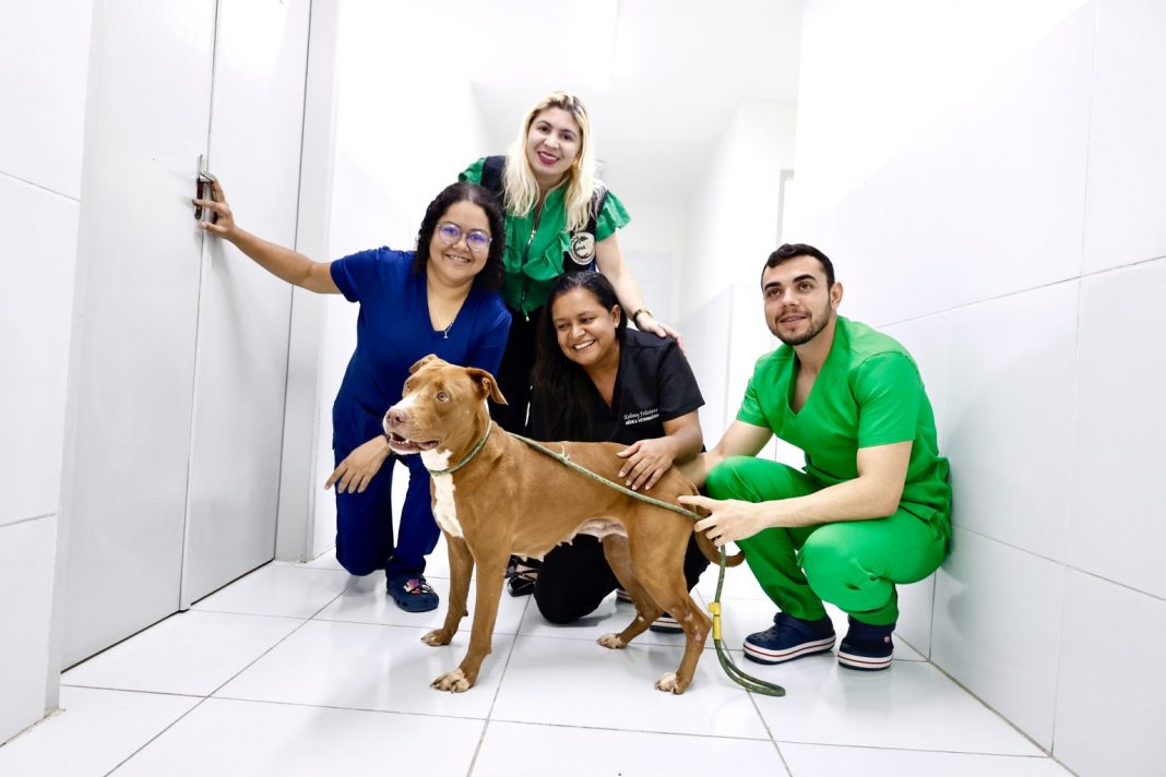 SMS_especial_Centro-Zoonoses-6-1536x1024
