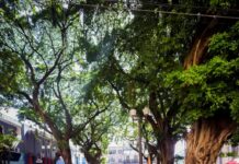 Sabadinho Bom comemora Mês da Consciência Negra com show de Helô Uehara