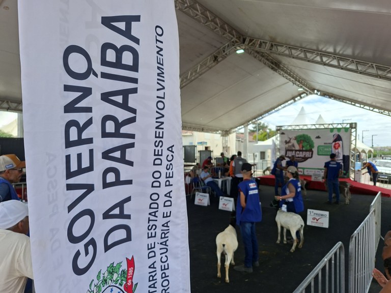 7df21d40-d230-4bda-ada3-de06baf837c2