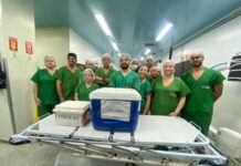 Paraíba registra 36ª doação de órgãos e soma 190 transplantes realizados em 2025