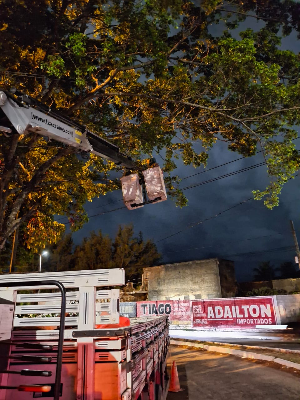 Podas-de-arvores-2-1