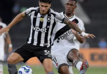 Botafogo vence duelo pelo G7 e deixa Vasco mais longe da Libertadores