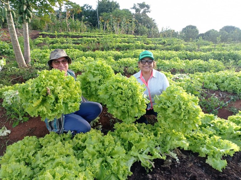 136e0333-2d72-e7e1-dce6-1dd41f95766a