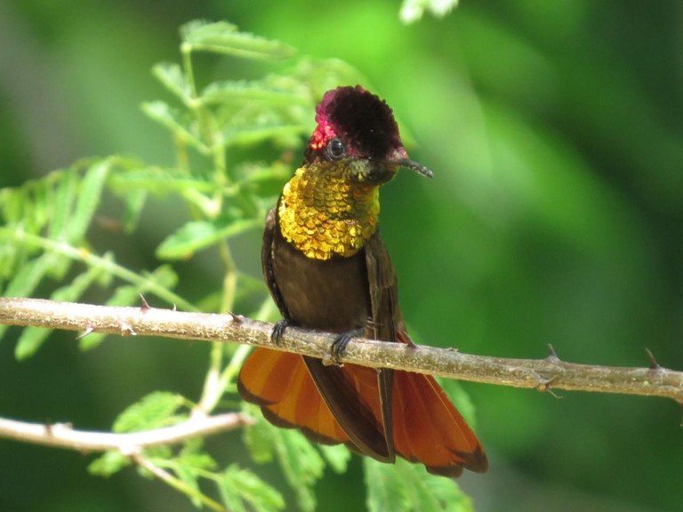 59182252-998d-4a61-ba80-68e33d8bbc2b