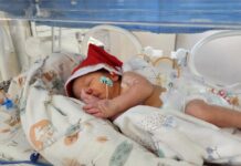 Humanização e afeto marcam ação natalina com bebês internados no Hospital Edson Ramalho