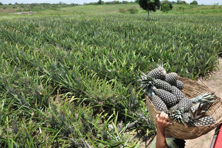 b004bea1-d736-4a88-8744-95758c36fbbb