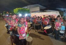 Carnaval Tradição: Ala Ursa Gavião leva solidariedade à avenida com foco na doação de sangue