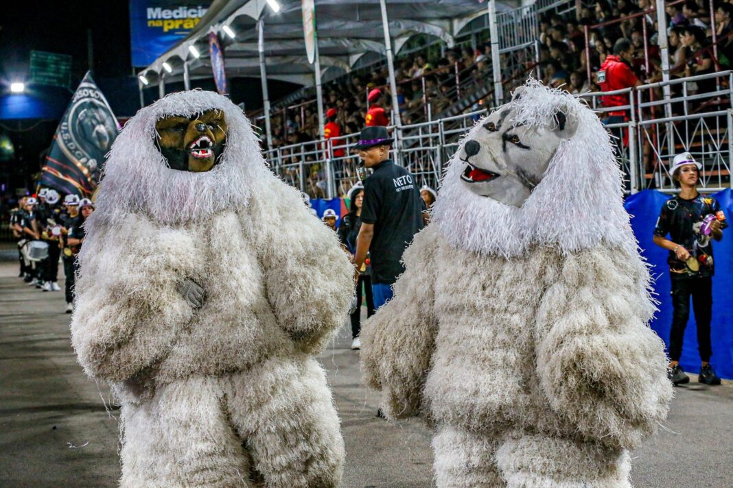 FUNJOPE_Carnaval_Ala_Ursas_Fotos_Kleide_Teixeira_22-1536x1024