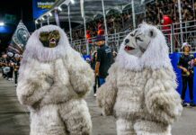 Desfile das Ala Ursas encanta público que prestigiou desfile do Carnaval Tradição