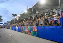 Carnaval Tradição 2026 terá desfile de 8 ala ursas neste sábado