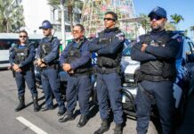 Prefeitura mobiliza secretarias municipais e define plano especial para desfile do Bloco Muriçocas do Miramar