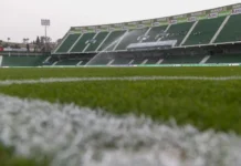 Palmeiras abre mão de R$ 14 milhões para trocar gramado do Allianz Parque