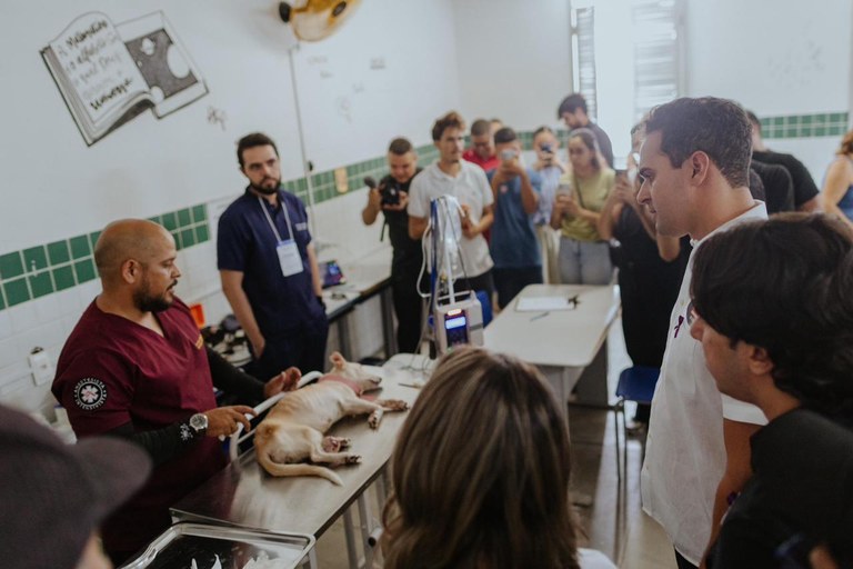 4119de5b-3d43-485d-9e2d-71f754c6515a