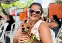 Adota+ Paraíba realiza 425 procedimentos e atende 165 animais em Campina Grande