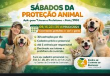 Prefeitura inicia cadastro para castração de cães e gatos no Centro de Controle de Zoonoses