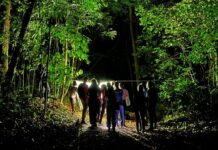 Jardim Botânico realiza trilhas temáticas na programação do Dia Nacional da Mata Atlântica